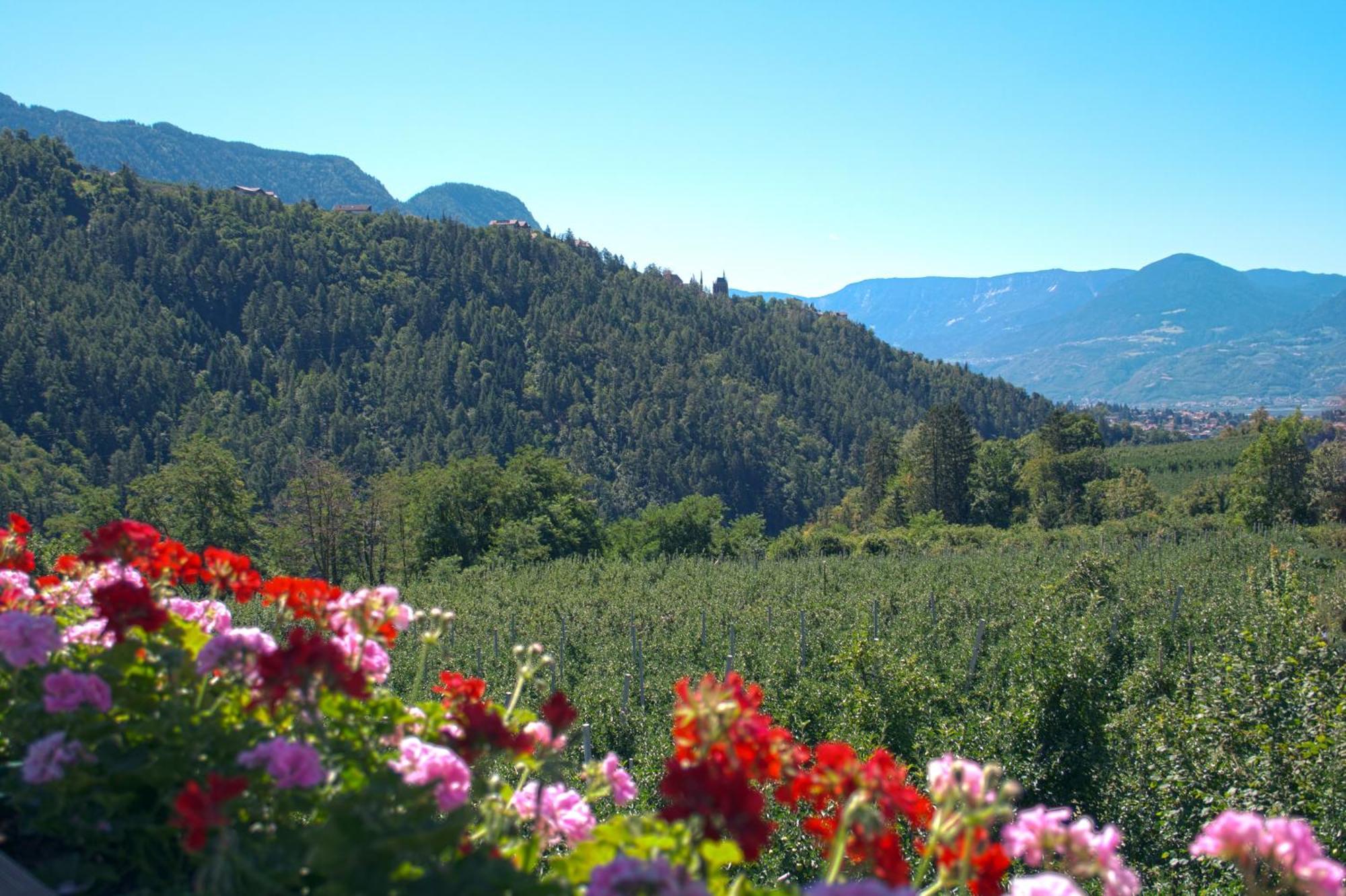 Pension Thalerhof リフィアーノ エクステリア 写真